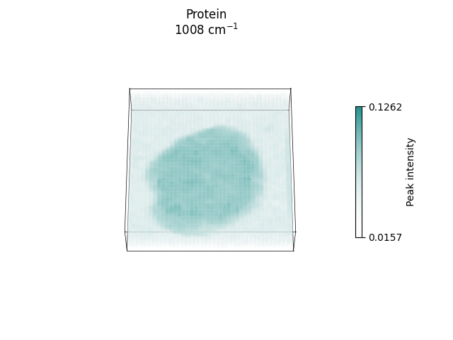 Protein 1008 cm$^{-1}$