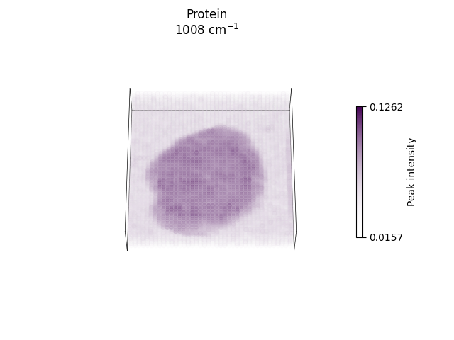 Protein 1008 cm$^{-1}$