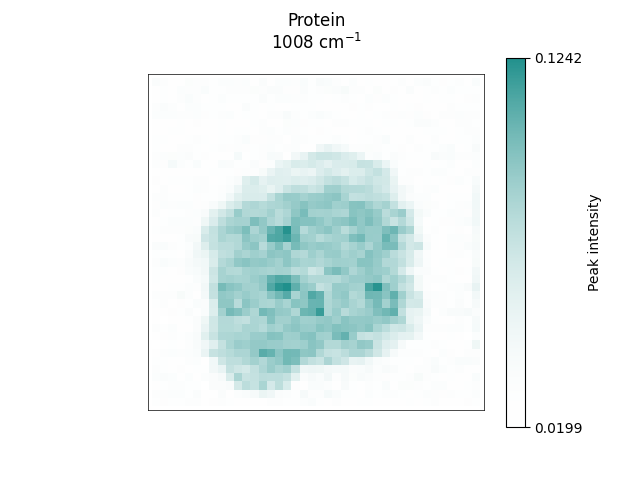 Protein 1008 cm$^{-1}$