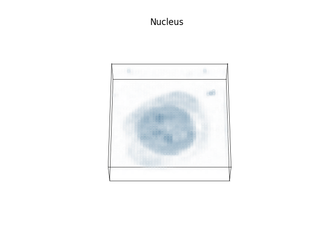 Nucleus