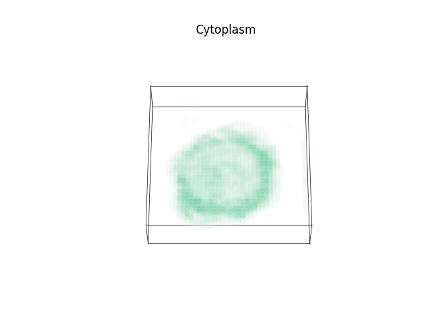 Cytoplasm
