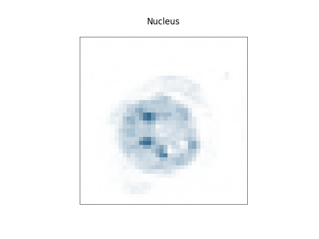 Nucleus