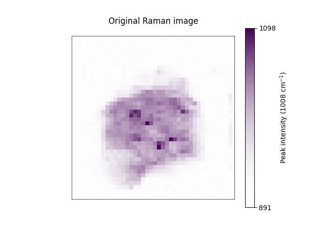Original Raman image