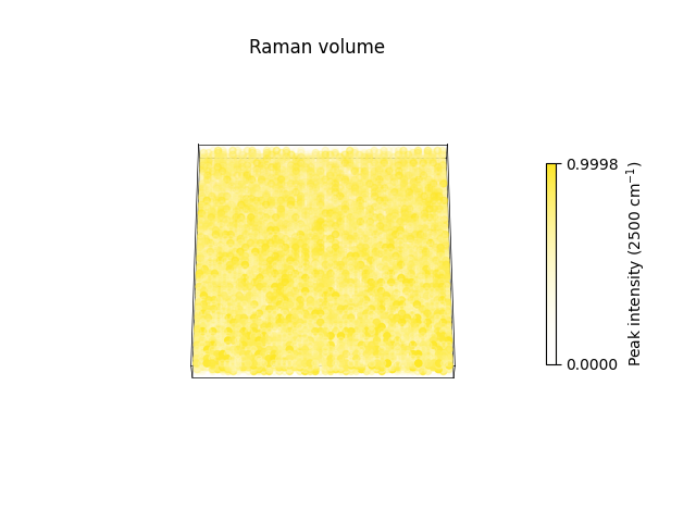Raman volume