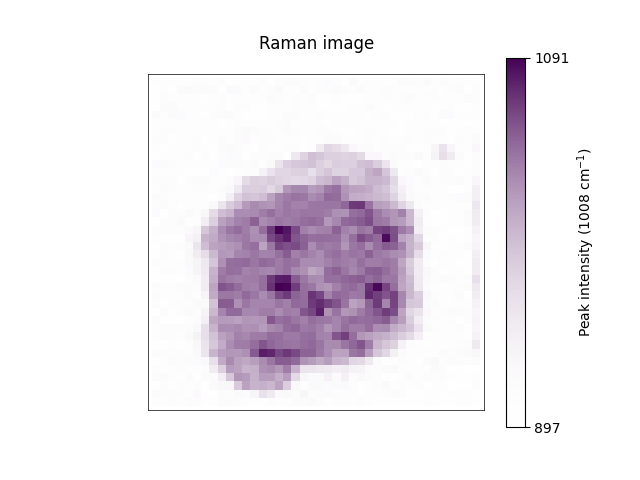 Raman image