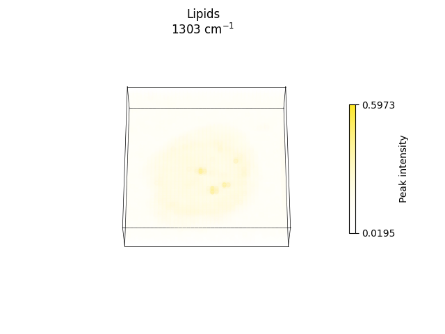 Lipids 1303 cm$^{-1}$