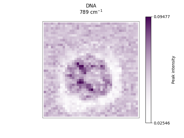 DNA 789 cm$^{-1}$