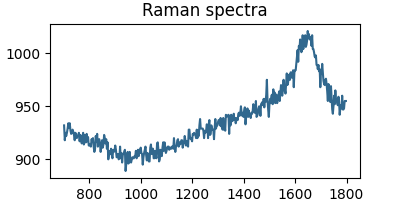 Raman spectra
