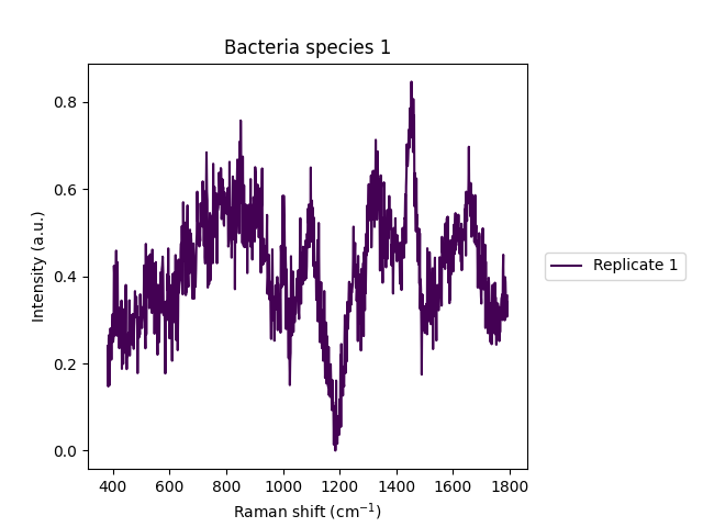 Bacteria species 1