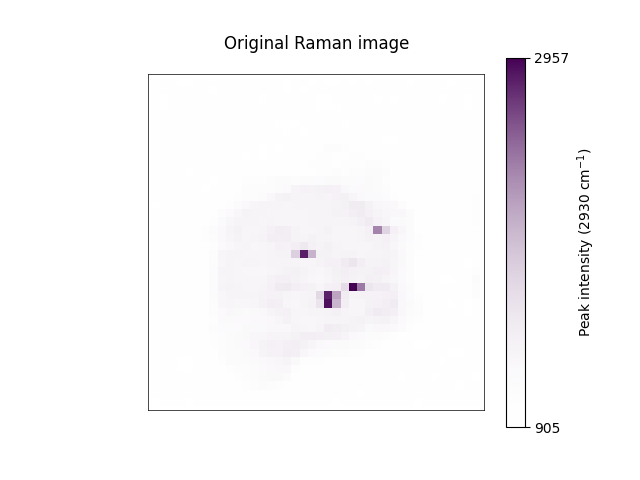 Original Raman image