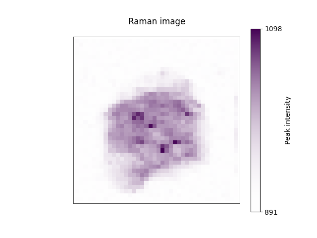 Raman image