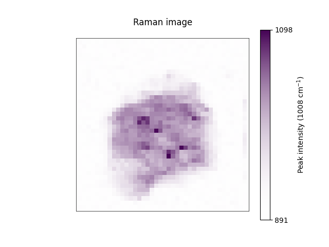 Raman image