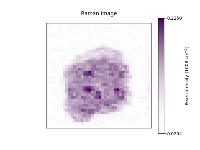 Raman image