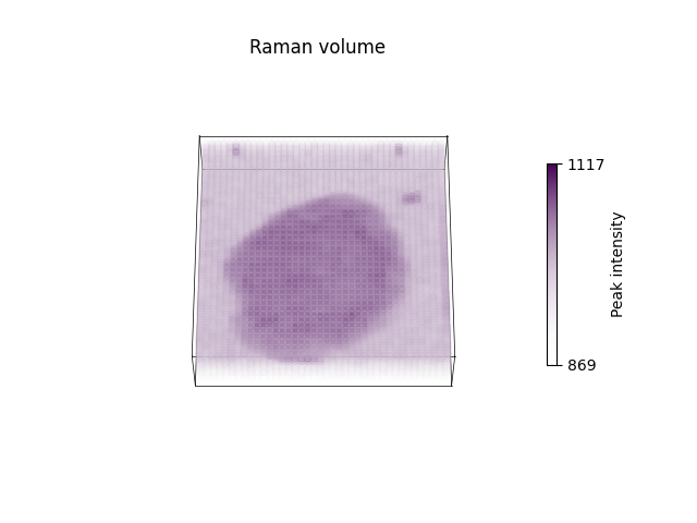 Raman volume