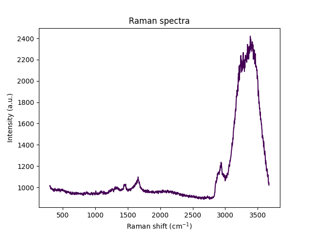 Raman spectra