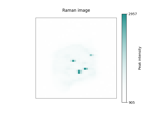 Raman image