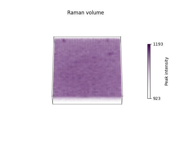 Raman volume