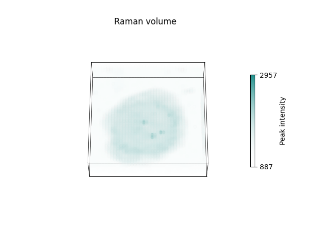 Raman volume