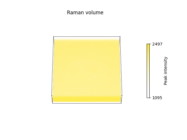 Raman volume