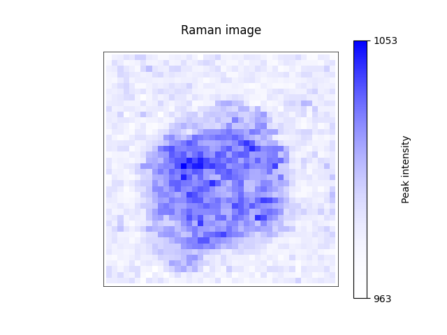 Raman image