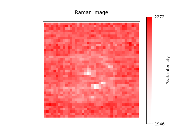 Raman image