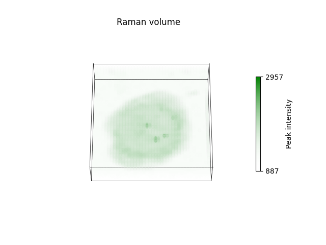 Raman volume