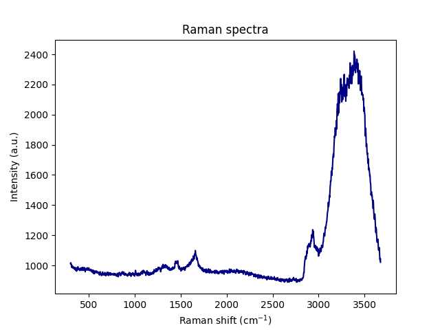Raman spectra