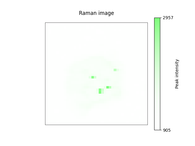 Raman image