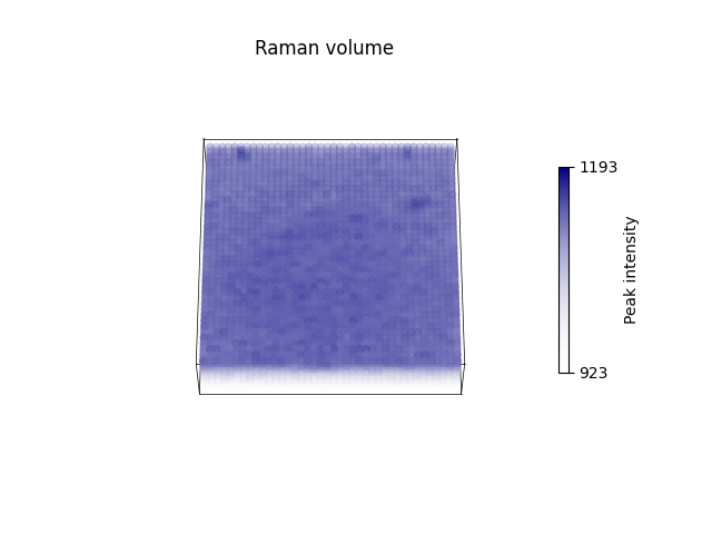 Raman volume