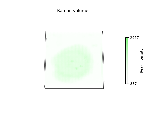 Raman volume
