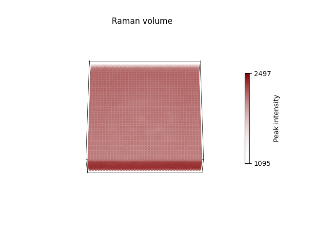 Raman volume